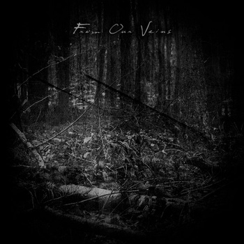 Final Thoughts / Endless Sorrow / Lost Inside - From Our Veins