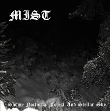 MIST - SNOWY NOCTURNAL FOREST AND STELLAR SKY