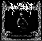Wolfsblut - Endschlag