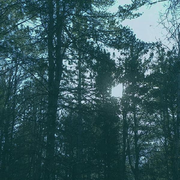 Ashbringer - Vacant (Digipak)