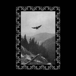 Ostots - Hil Argi