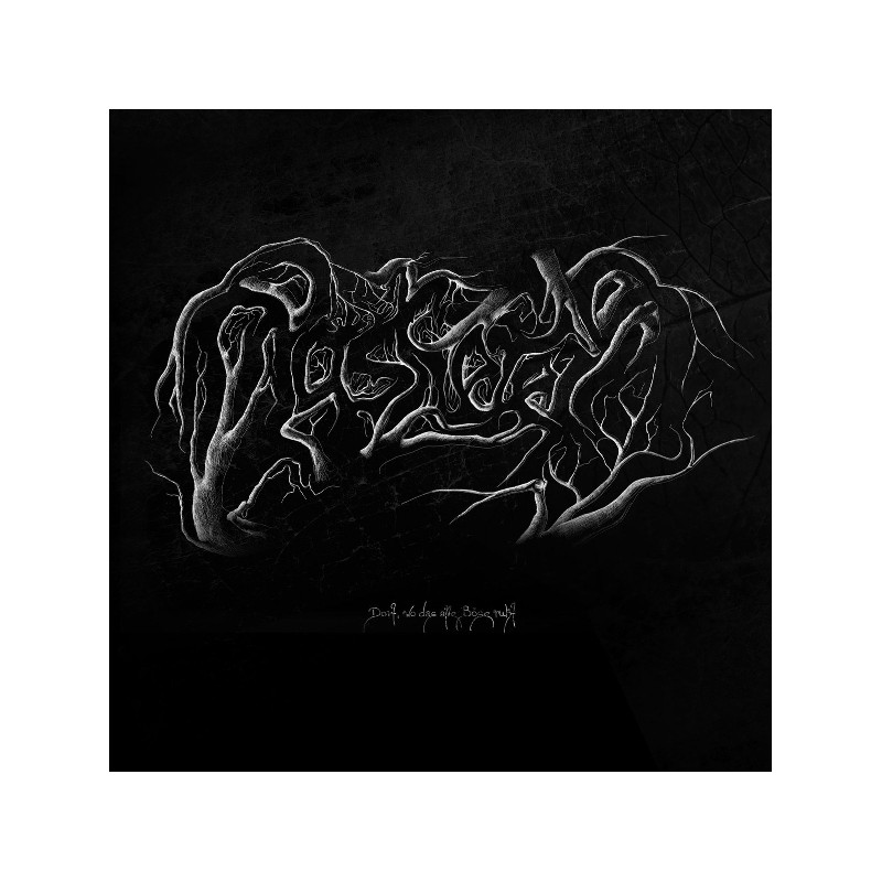 AASKEREIA - DORT, WO DAS ALTE BÖSE RUHT